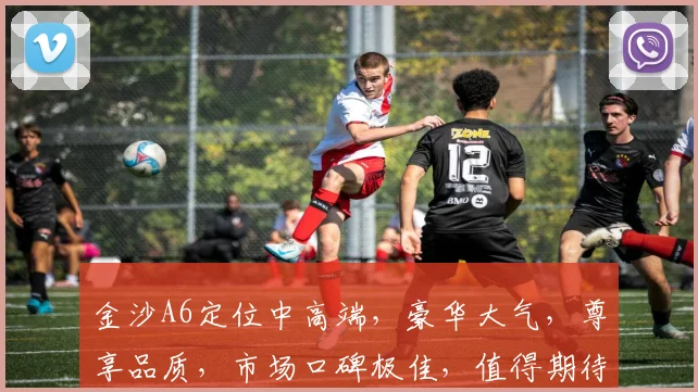 金沙A6定位中高端，豪华大气，尊享品质，市场口碑极佳，值得期待。