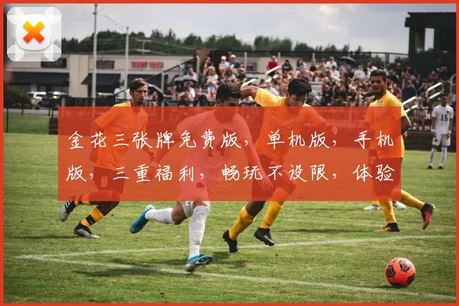 金花三张牌免费版，单机版，手机版，三重福利，畅玩不设限，体验极致棋牌乐趣，一触即达